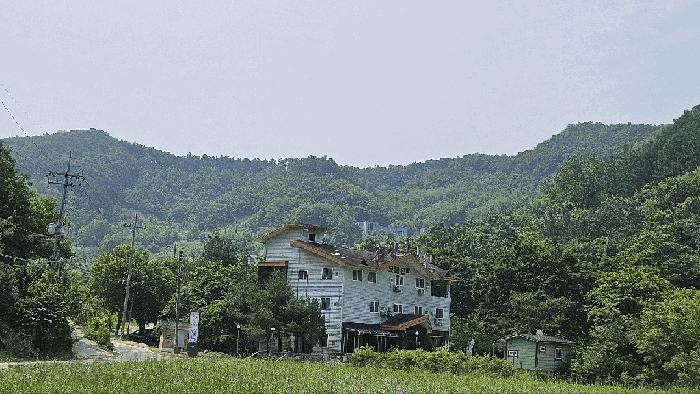 충청남도 금산군 제원면 천내리 196-7 임야 경매 사진 3