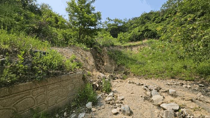 충청남도 금산군 제원면 천내리 196-7 임야 경매 사진 5