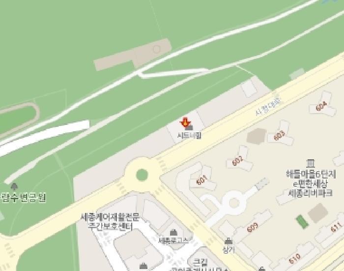 세종특별자치시 대평동 665 시드니힐 3층307호 근린상가 경매 사진 12