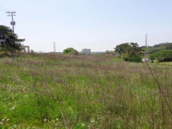 충청남도 태안군 태안읍 장산리 376-1 임야 경매 사진 32