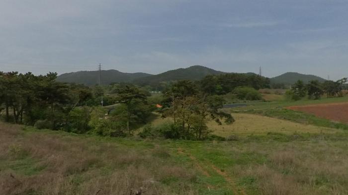 충청남도 태안군 태안읍 장산리 376-1 임야 경매 사진 4