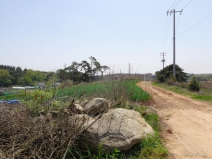 충청남도 태안군 태안읍 장산리 376-1 임야 경매 사진 40