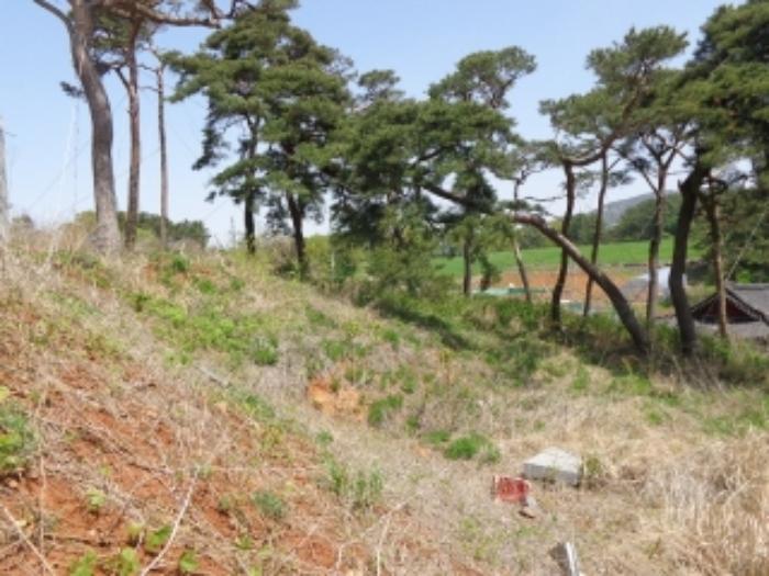 충청남도 태안군 태안읍 장산리 832 전 경매 사진 19