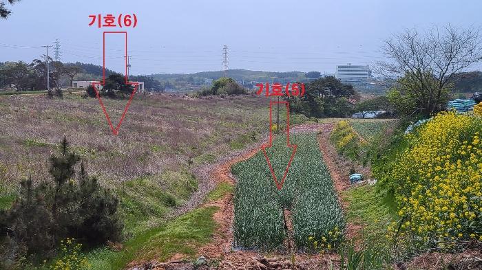 충청남도 태안군 태안읍 장산리 832 전 경매 사진 9