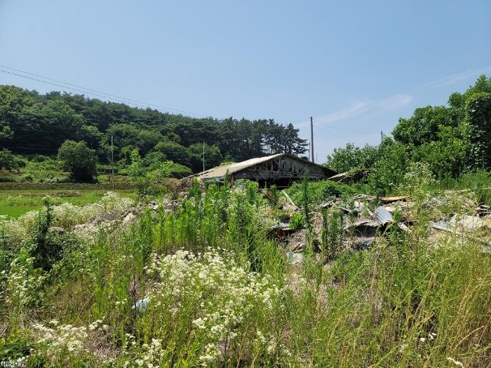 충청남도 당진시 송악읍 석포리 139 대지 경매 사진 4