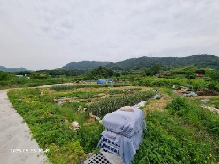 경상남도 창원시 의창구 동읍 용전리 80 전 경매 사진 12