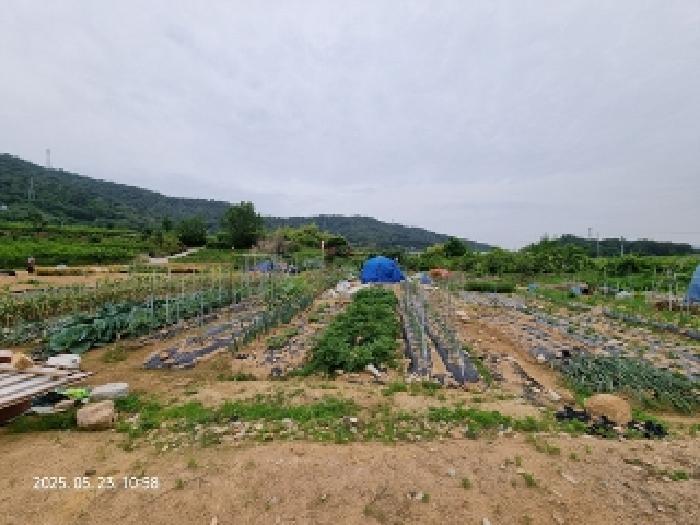 경상남도 창원시 의창구 동읍 용전리 80 전 경매 사진 13