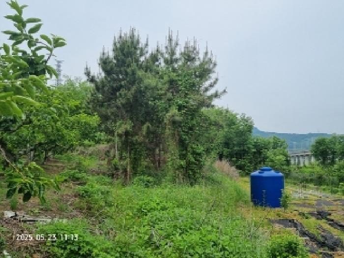 경상남도 창원시 의창구 동읍 용전리 80 전 경매 사진 15