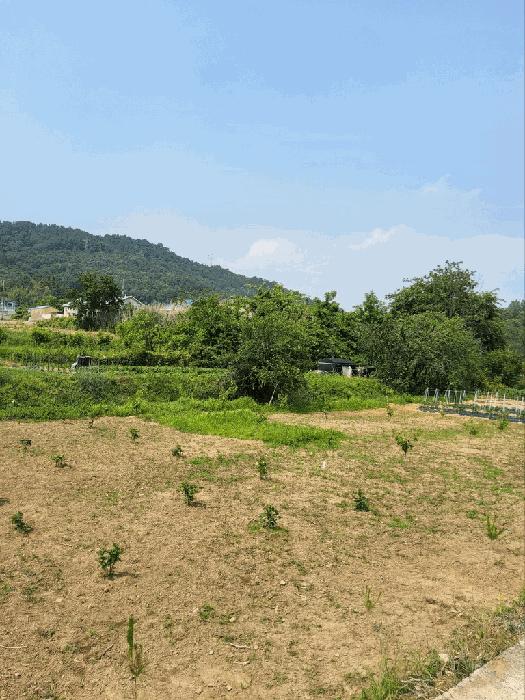 경상남도 창원시 의창구 동읍 용전리 80 전 경매 사진 16