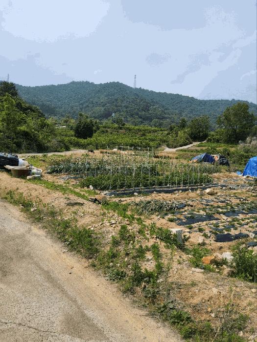 경상남도 창원시 의창구 동읍 용전리 80 전 경매 사진 6