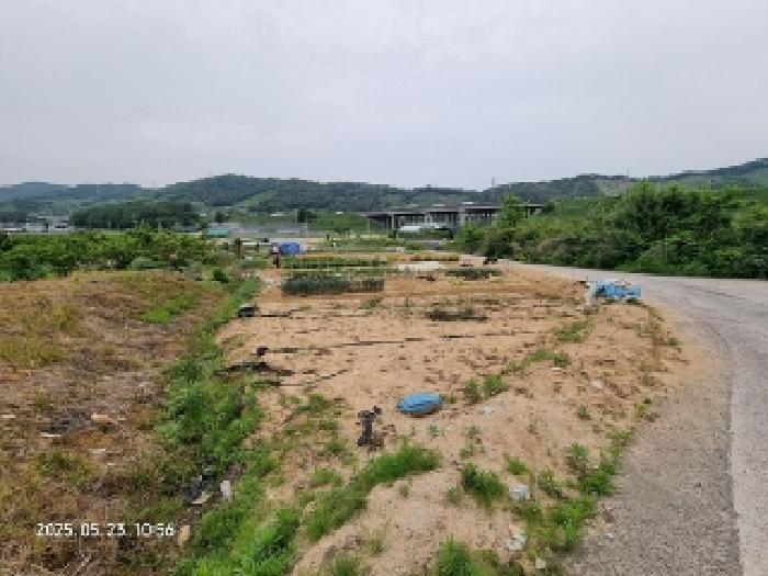 경상남도 창원시 의창구 동읍 용전리 173-2 전 경매 사진 10