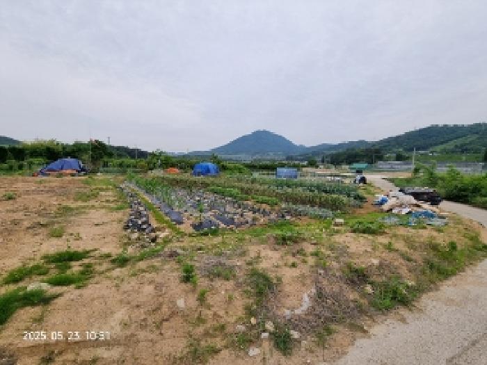 경상남도 창원시 의창구 동읍 용전리 173-2 전 경매 사진 11