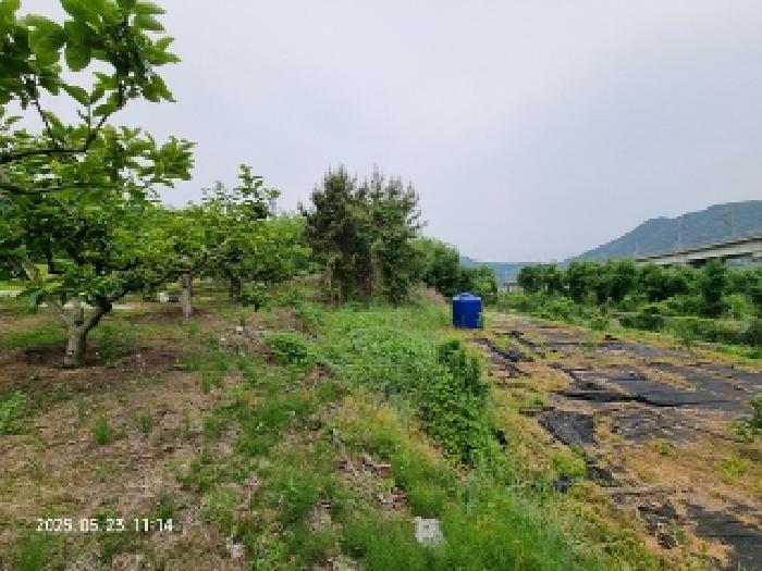 경상남도 창원시 의창구 동읍 용전리 173-2 전 경매 사진 14