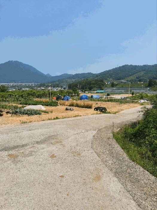경상남도 창원시 의창구 동읍 용전리 173-2 전 경매 사진 7