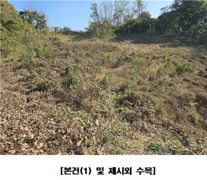 세종특별자치시 장군면 평기리 287-39 공장 경매 사진 12