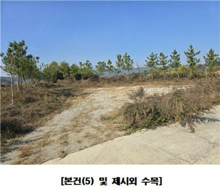 세종특별자치시 장군면 평기리 287-39 공장 경매 사진 3