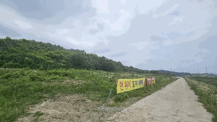 세종특별자치시 연동면 문주리 63-3 임야 경매 사진 1