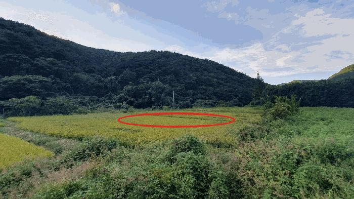 경상남도 창원시 마산합포구 진전면 고사리 142 답 경매 사진 1