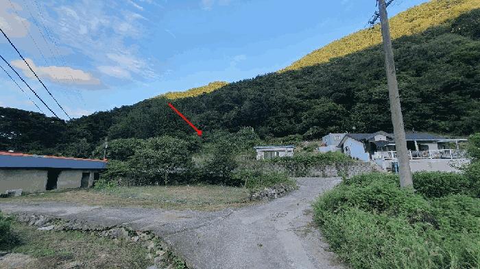 경상남도 창원시 마산합포구 진전면 고사리 142 답 경매 사진 10