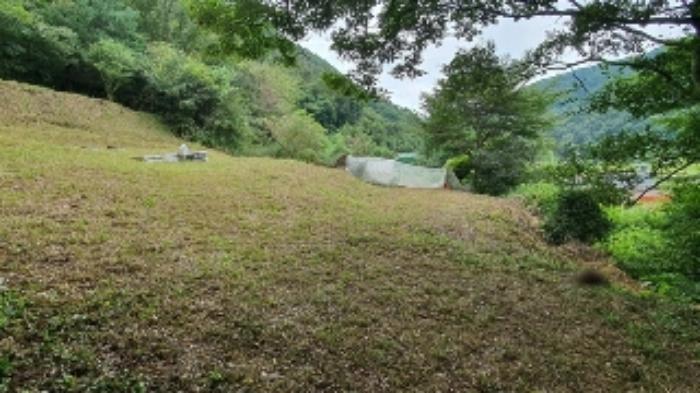 경상남도 창원시 마산합포구 진전면 고사리 142 답 경매 사진 14