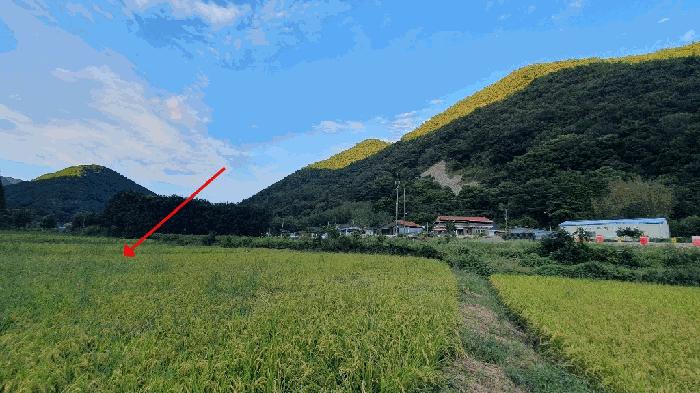 경상남도 창원시 마산합포구 진전면 고사리 142 답 경매 사진 4