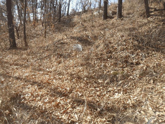 경상남도 함안군 법수면 윤외리 954 묘지 경매 사진 2