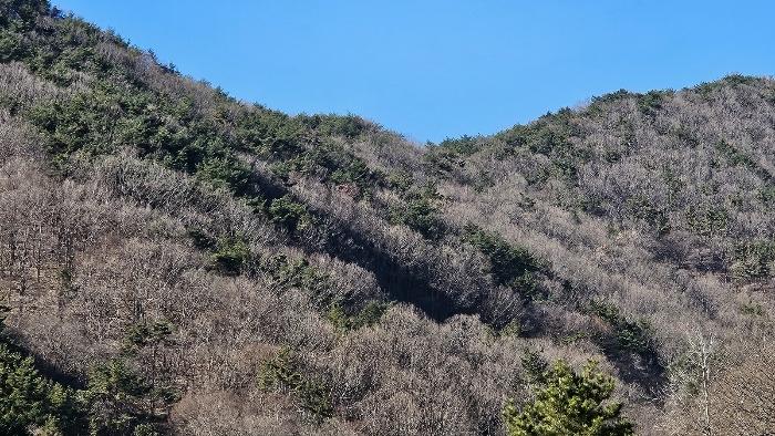 경상남도 창원시 마산합포구 임야