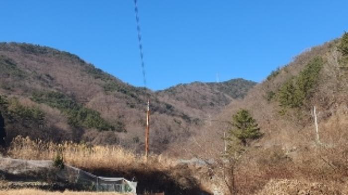 경상남도 창원시 마산합포구 진동면 동전리 산364 임야 경매 사진 3