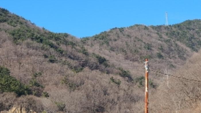 경상남도 창원시 마산합포구 진동면 동전리 산364 임야 경매 사진 4