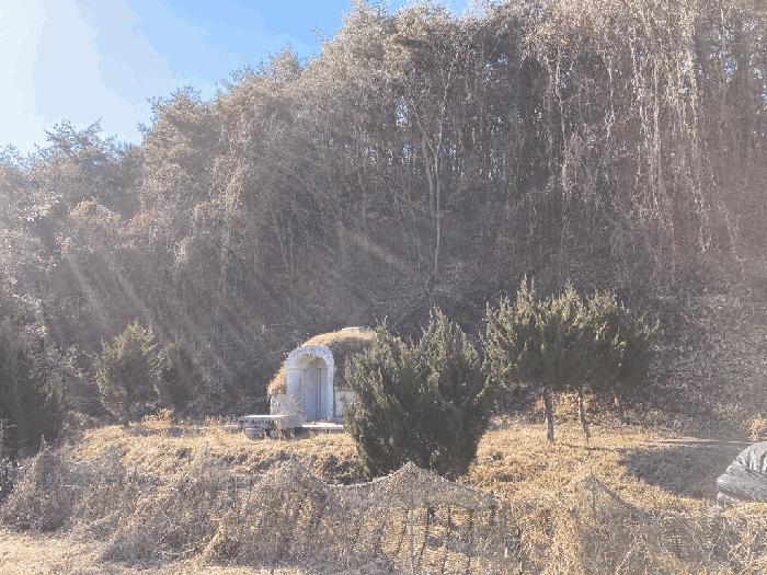 경상남도 함안군 산인면 입곡리 907-4 전 경매 사진 2
