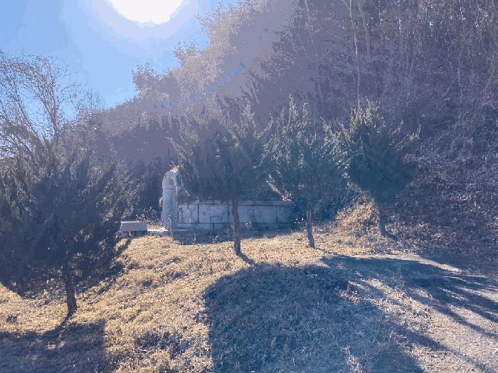 경상남도 함안군 산인면 입곡리 907-4 전 경매 사진 8