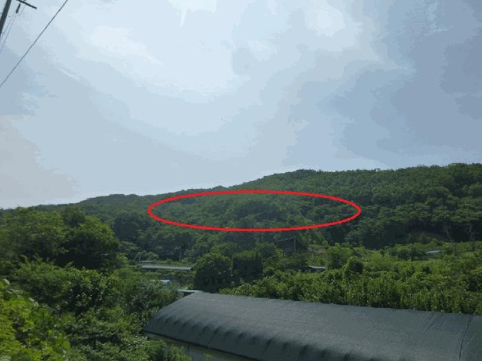 경상남도 양산시 상북면 내석리 산108 임야 경매 사진 6
