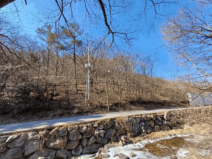 경기 광주시 임야