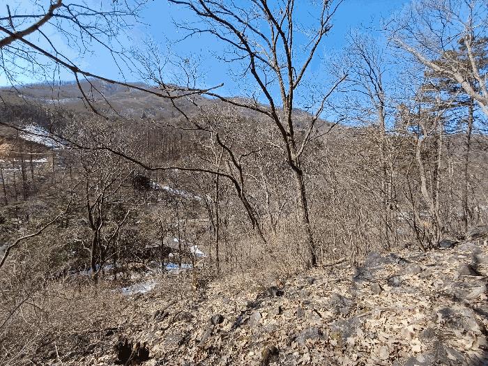 경기도 광주시 곤지암읍 열미리 산120-8 임야 경매 사진 5