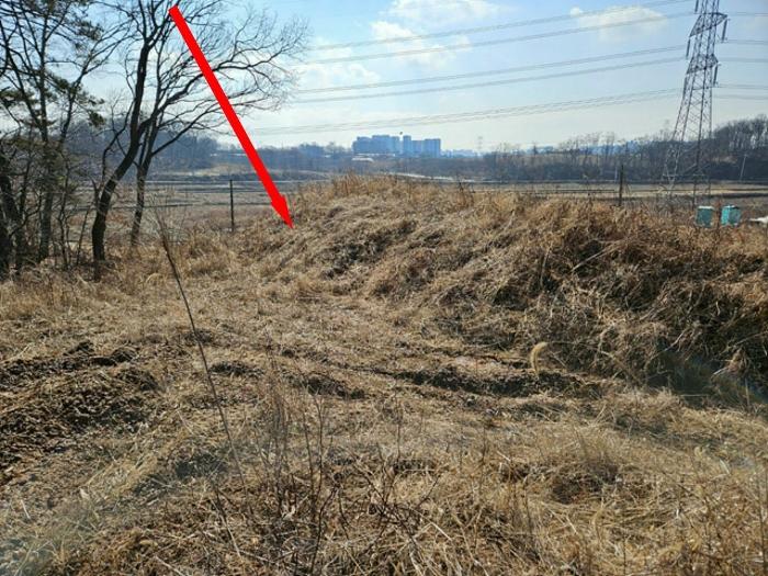 경기도 평택시 안중읍 덕우리 167 전 경매 사진 1