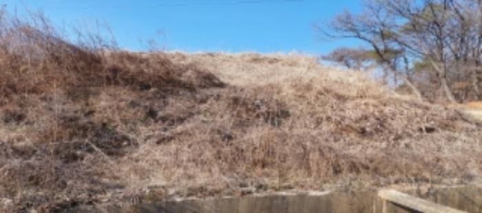 경기도 평택시 안중읍 덕우리 167 전 경매 사진 16