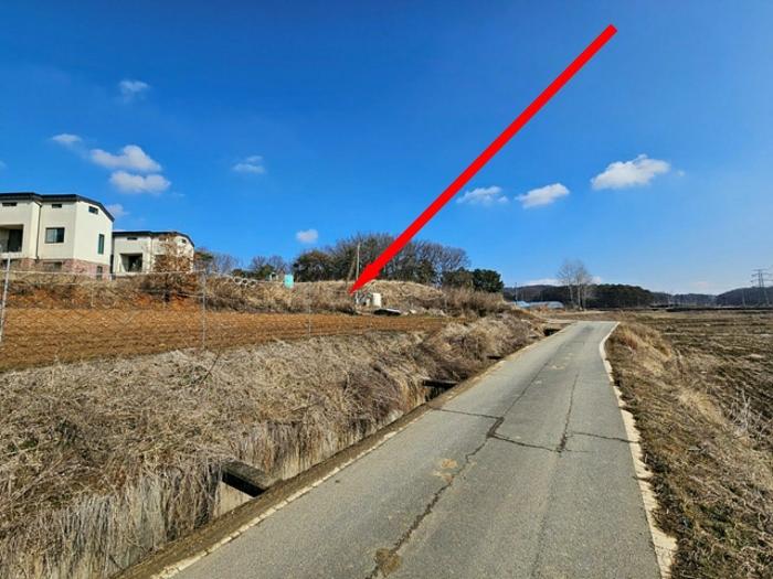 경기도 평택시 안중읍 덕우리 167 전 경매 사진 5