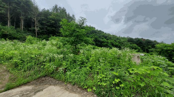 강원특별자치도 홍천군 북방면 상화계리 254-16 전 경매 사진 2