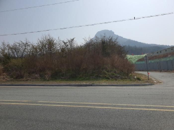 전라남도 장흥군 장흥읍 삼산리 755-6 공장용지 경매 사진 4
