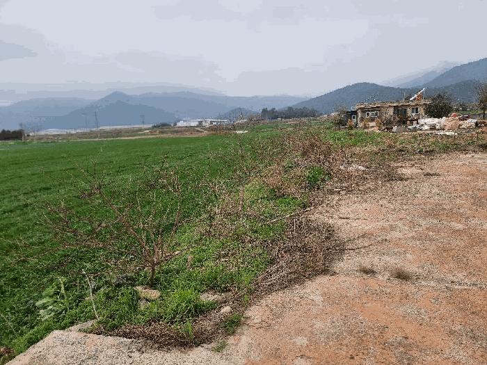 전라남도 장흥군 대덕읍 연정리 1318-7 상가 경매 사진 4