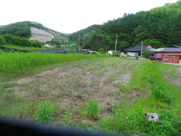 강원특별자치도 춘천시 서면 안보리 243-1 답 경매 사진 3