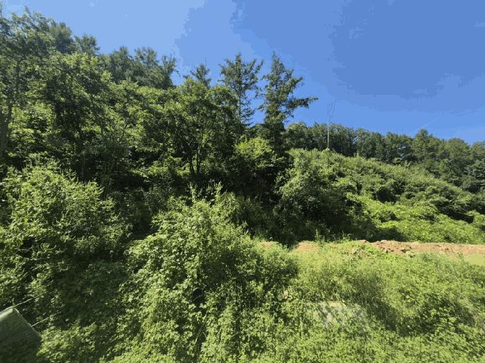강원특별자치도 춘천시 남면 발산리 512 임야 경매 사진 2