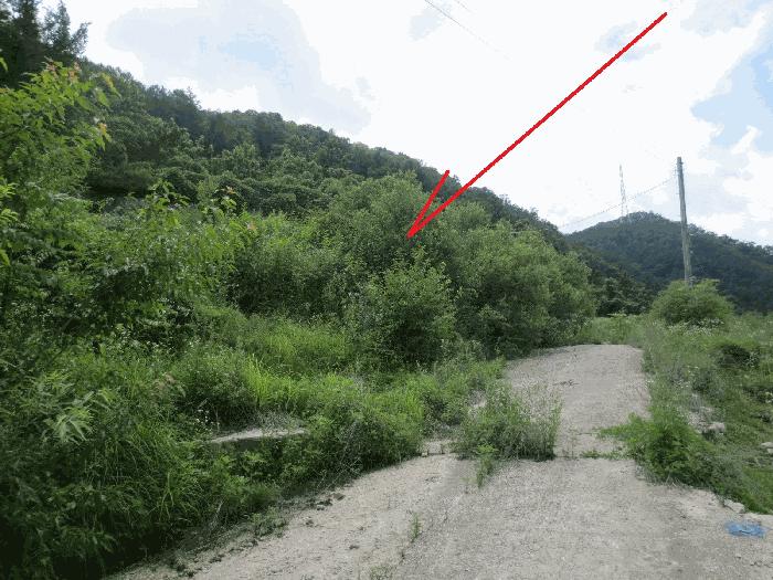 강원특별자치도 홍천군 서면 마곡리 216-2 대지 경매 사진 2