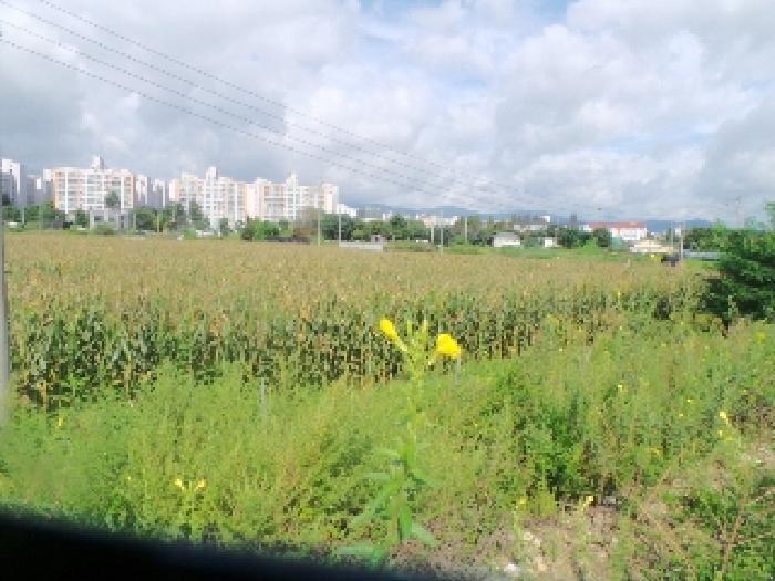 강원특별자치도 춘천시 우두동 340-63 전 경매 사진 3