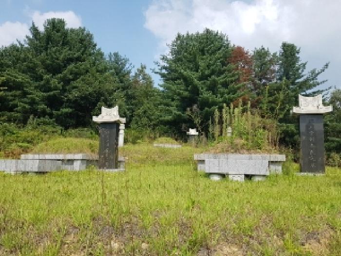 강원특별자치도 춘천시 신동면 혈동리 산199 임야 경매 사진 3