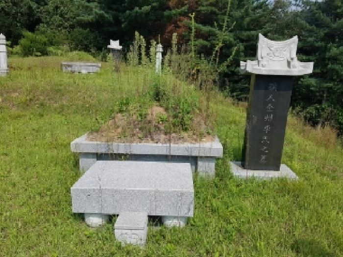 강원특별자치도 춘천시 신동면 혈동리 산199 임야 경매 사진 4