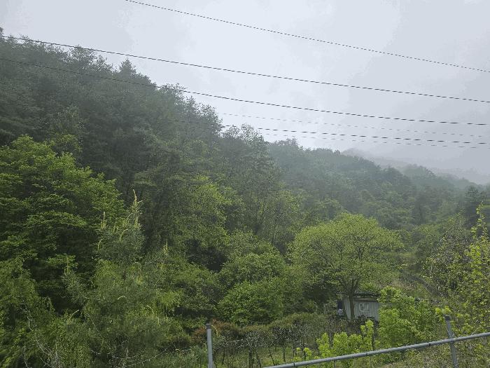 강원 원주시 임야