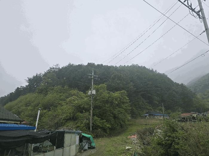 강원특별자치도 원주시 신림면 송계리 산22-1 임야 경매 사진 4