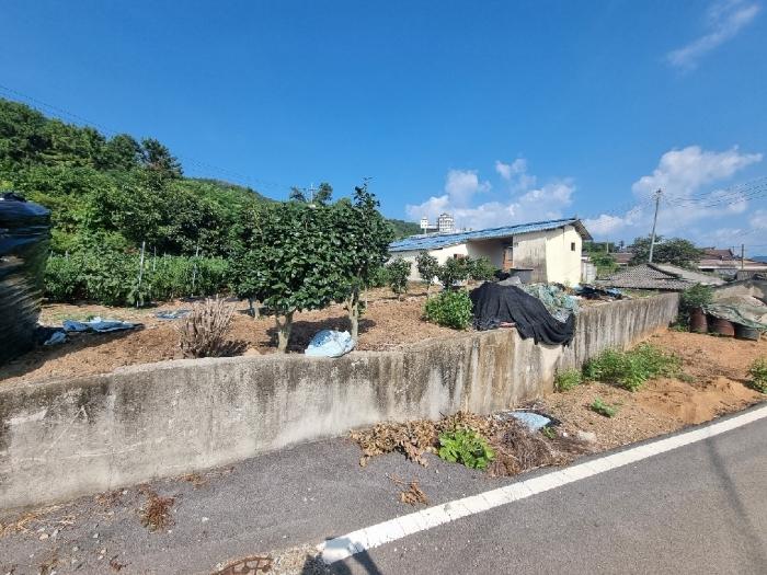 전라남도 장흥군 안양면 수문리 37-4 전 경매 사진 4