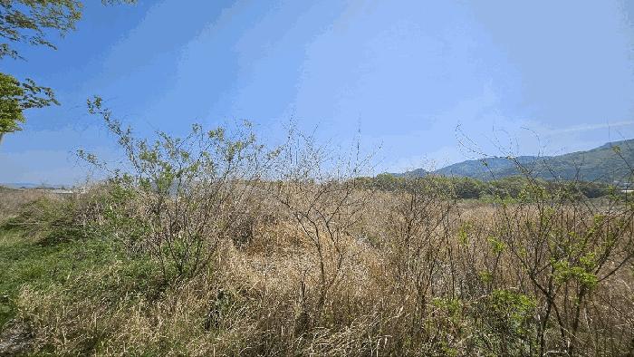 전라남도 강진군 성전면 명산리 1490-10 공장용지 경매 사진 3